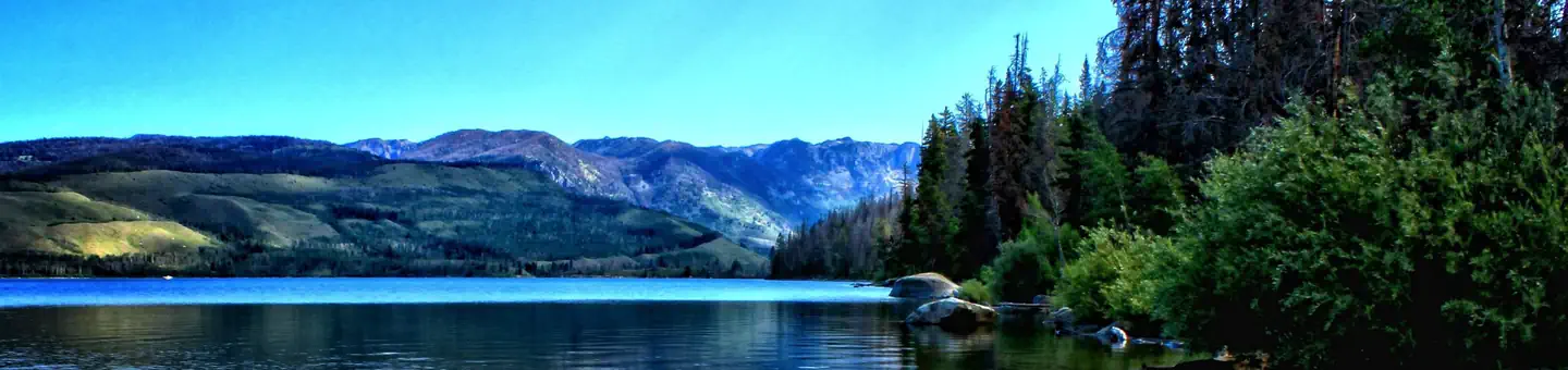 Bridger-Teton National Forest