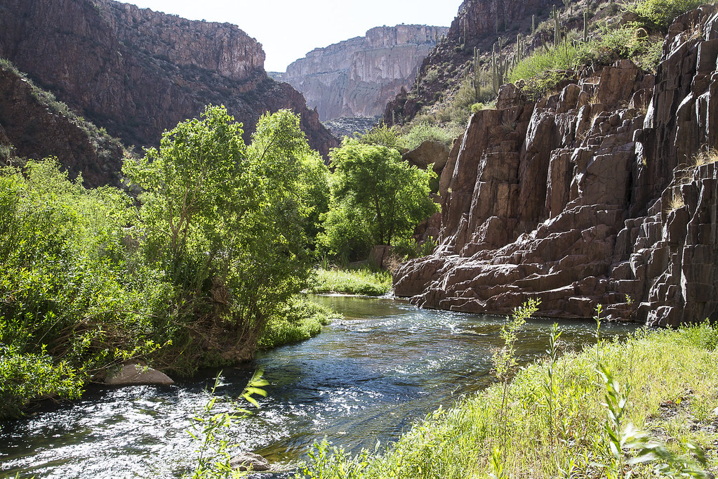 Aravaipa Canyon Wilderness — Aravaipa Creek in Aravaipa Canyon Wilderness