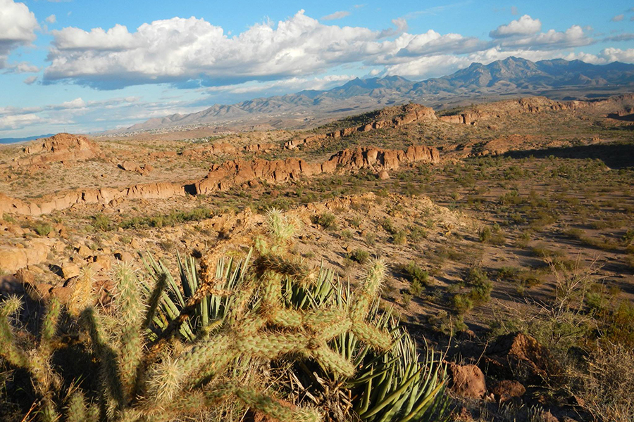 Cerbat Foothills Recreation Area (CFRA)