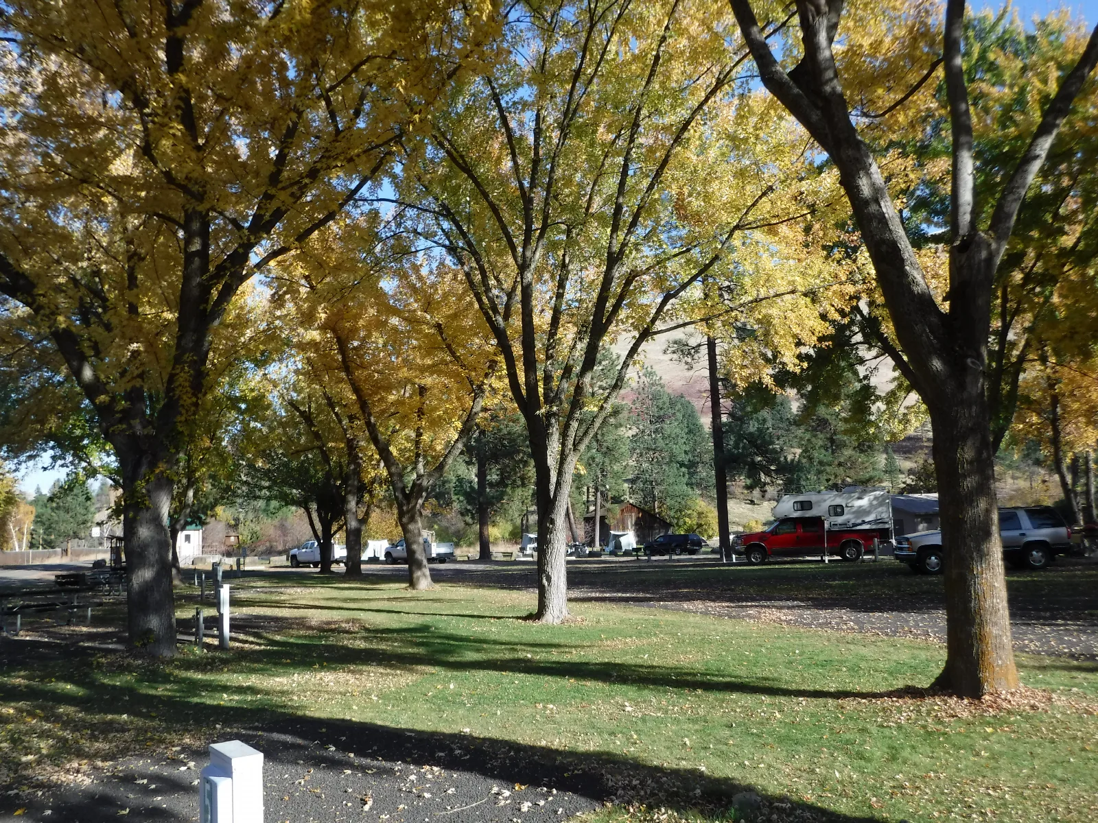 McKay's Bend Recreation Site — McKay's Bend Recreation Site Fall