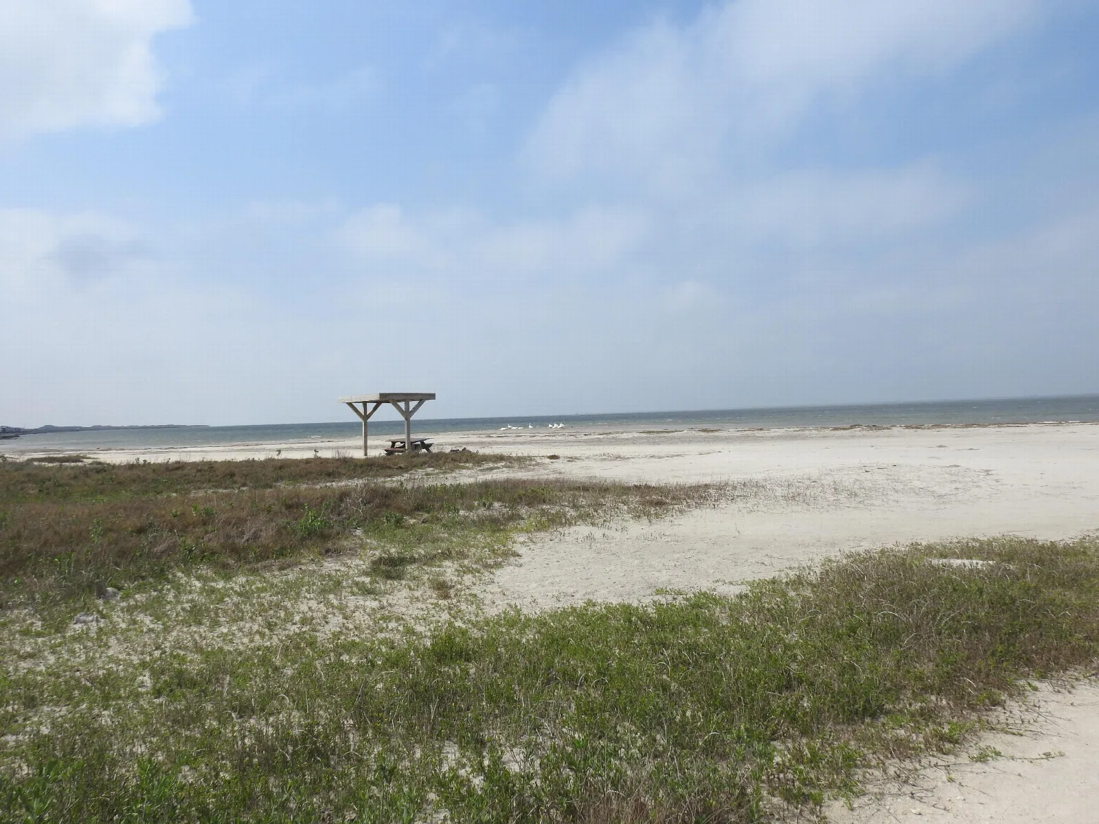 Bird Island Basin Campground - Padre Island National Seashore: Tent camping area for BIB CG