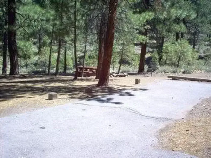 Tahoe National Forest Logger Campground