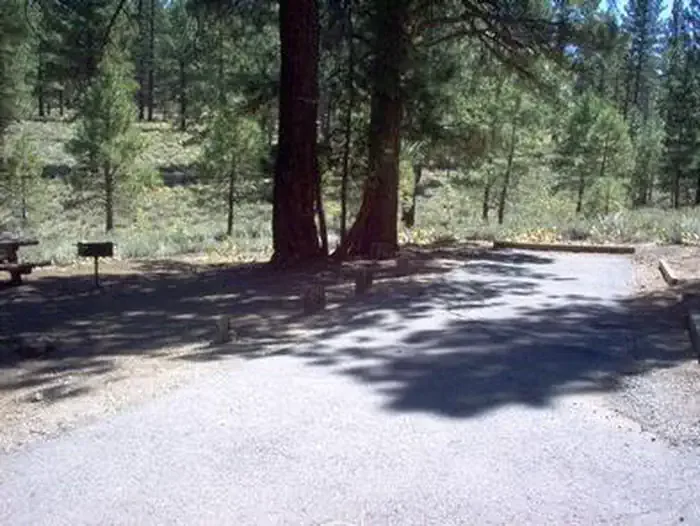 Tahoe National Forest Logger Campground