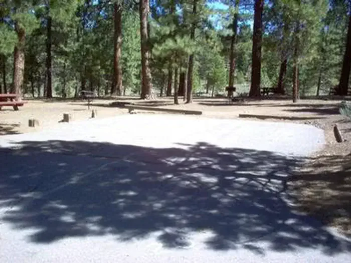 Tahoe National Forest Logger Campground