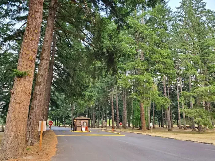 COE Dorena Reservoir Schwarz Campground