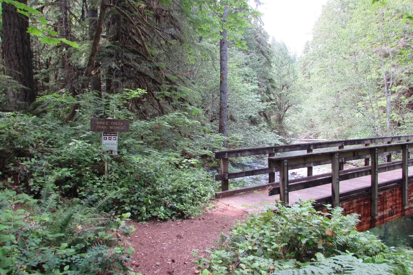 Lund Park Forest Camp: Brice Creek Trail Bridge