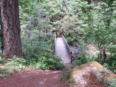 Lund Park Forest Camp