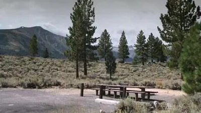 Toiyabe National Forest Paha Campground