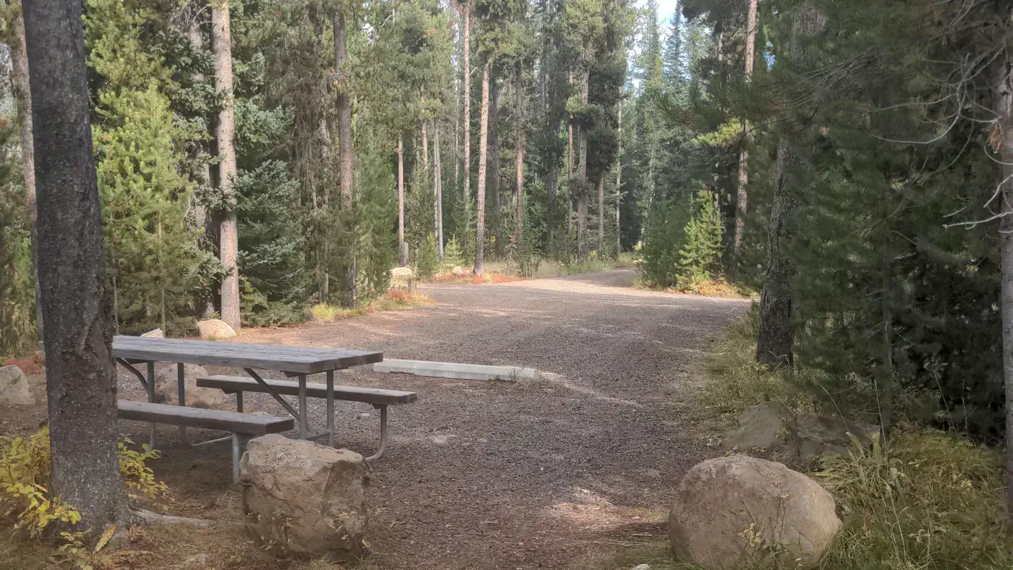Chinook Campground: Picnic table and fire ring surrounded by forest.
