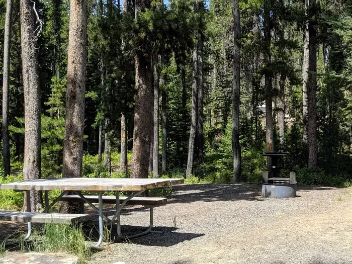 Chinook Campground: Forested campsite with picnic table and fire ring.