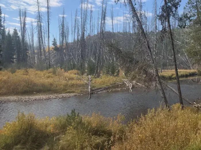 Chinook Campground: Secesh River flowing near Chinook Campground