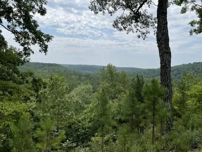 Mark Twain/Red Bluff: Pines Overlook campsite overlooking Huzzah Creek