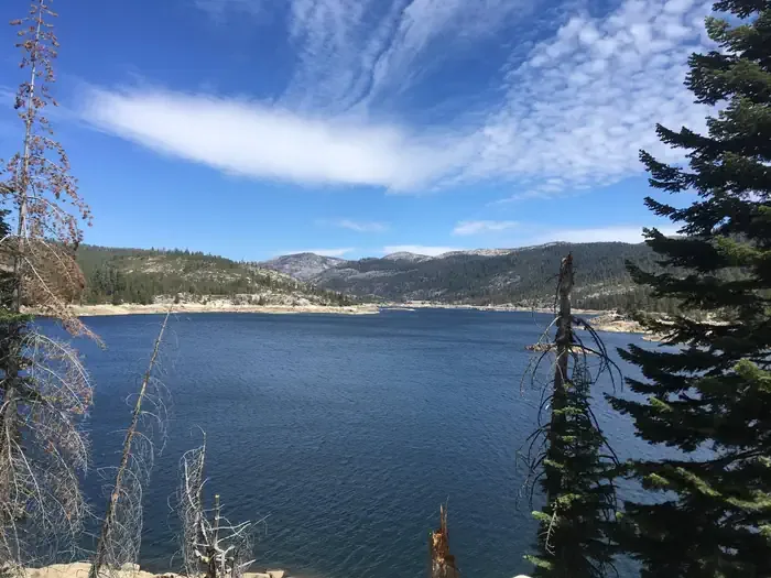 Eldorado National Forest South Shore Campground: Bear River Reservoir