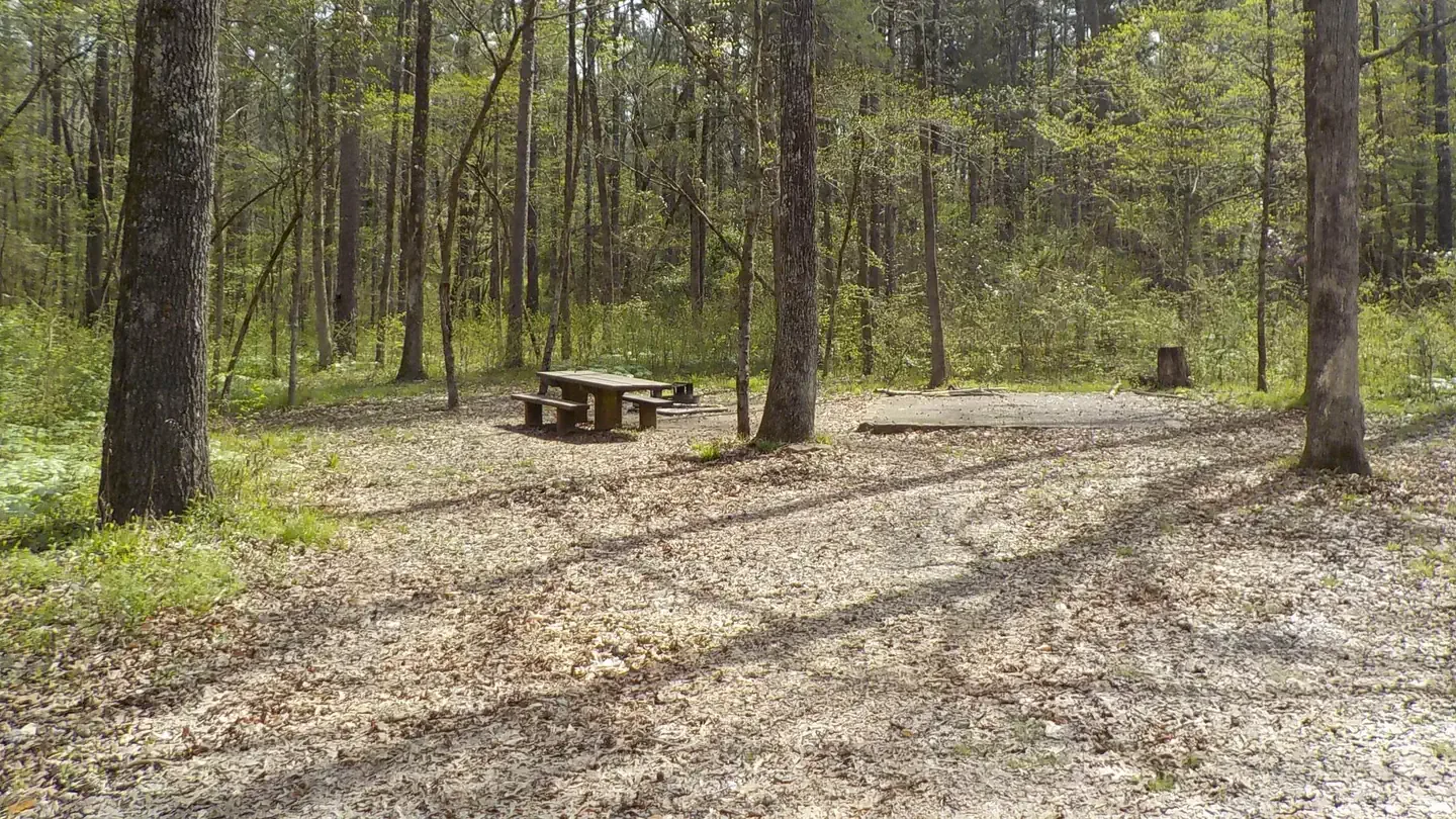 Redding Campground: Campsite