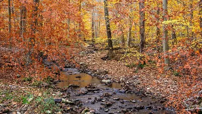 Owens Creek Campground - Catoctin Mountain Park