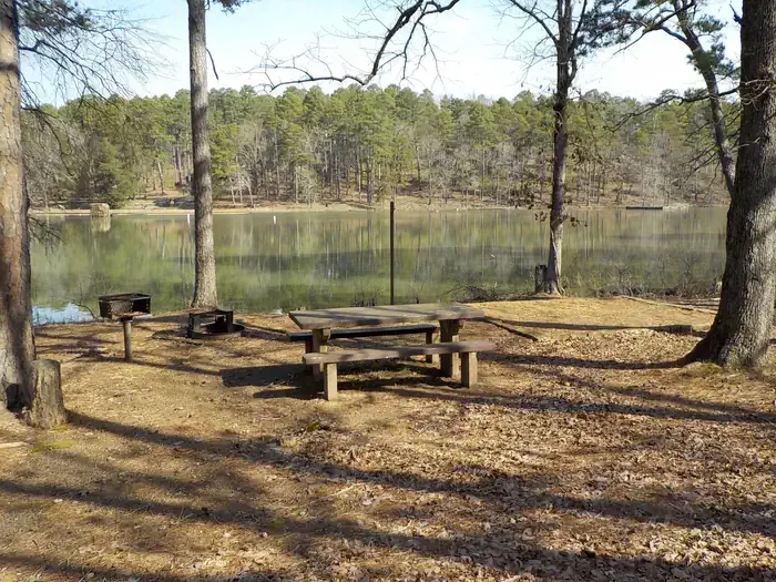Spring Lake: Campsite