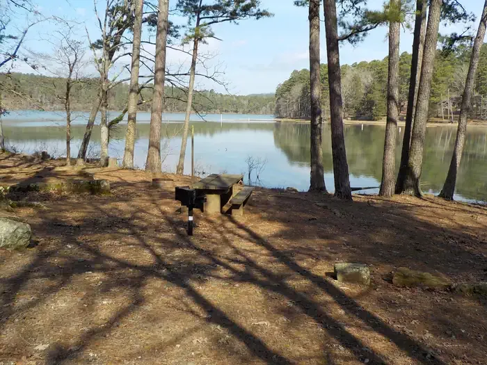 Spring Lake: Campsite