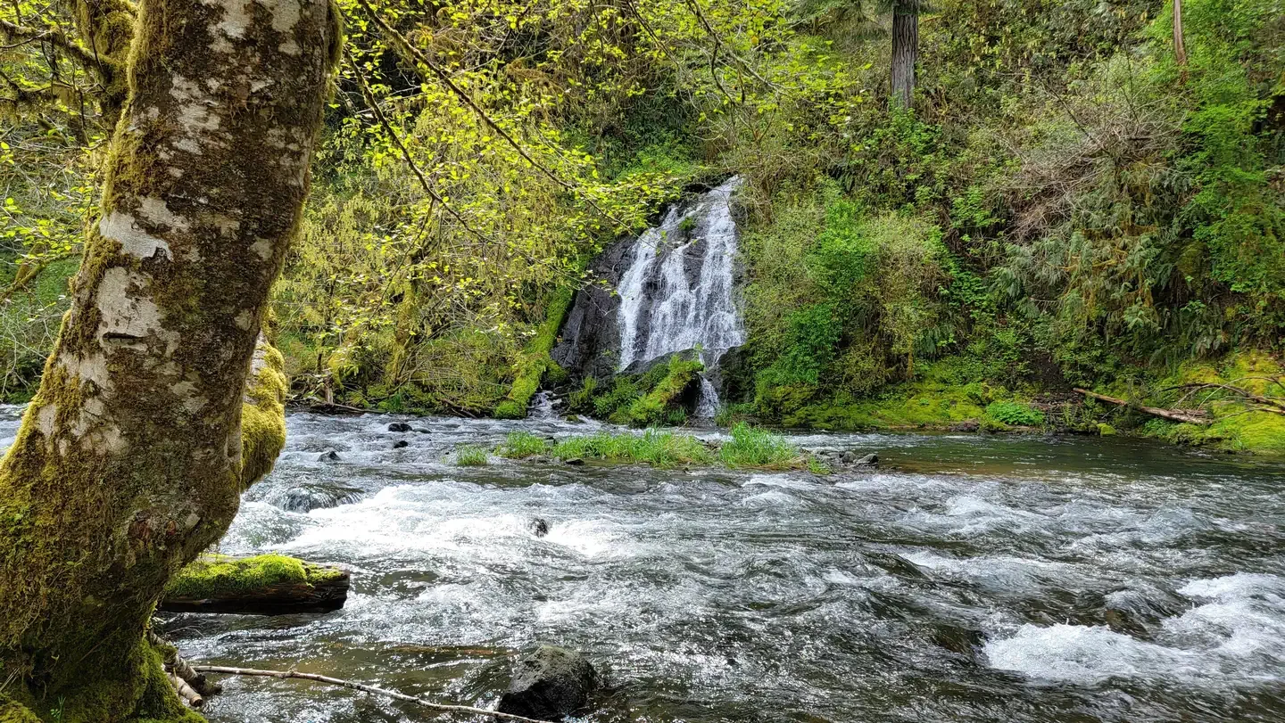 Alder Glen Campground: Alder Glen waterfall view from campsite 9