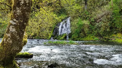 Alder Glen Campground