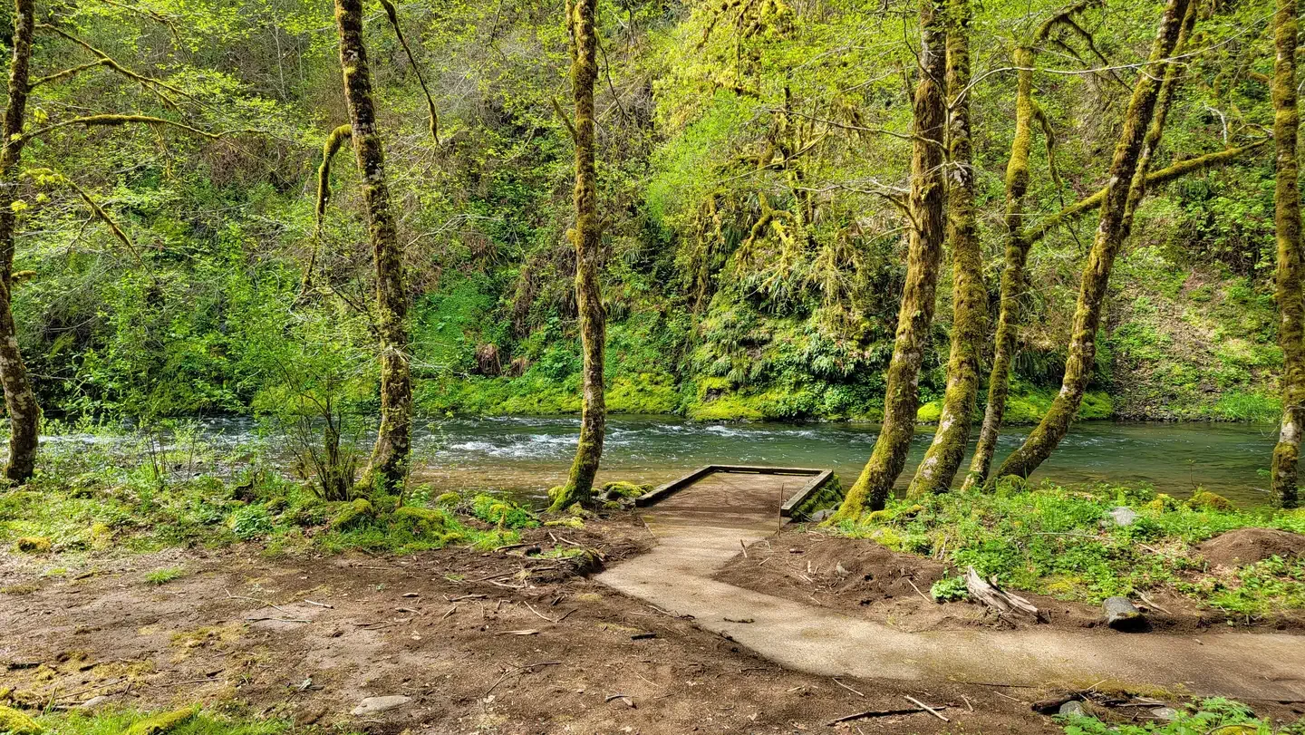 Alder Glen Campground: river viewing platform and accessible path at Alder Glen