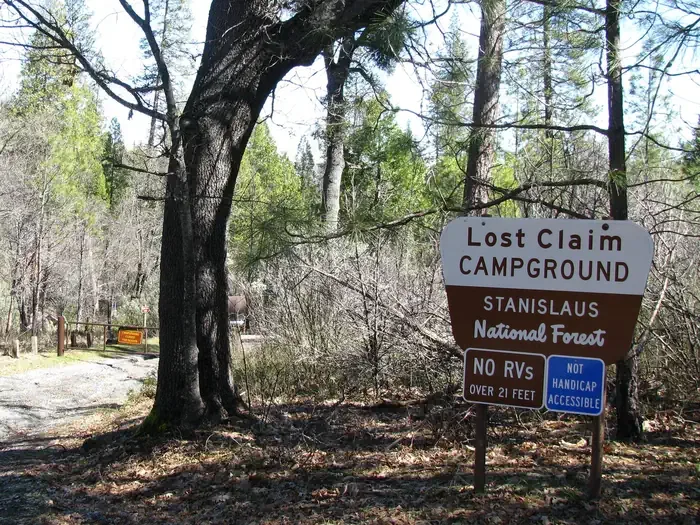 Stanislaus National Forest Lost Claim Campground