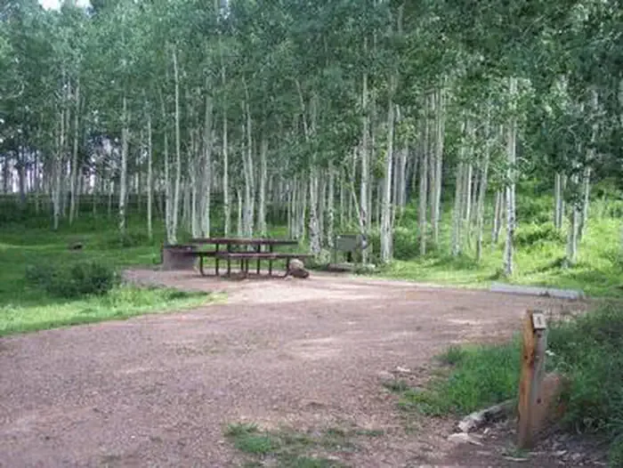 Barker Reservoir Area: Campsite surrounded by aspen trees.