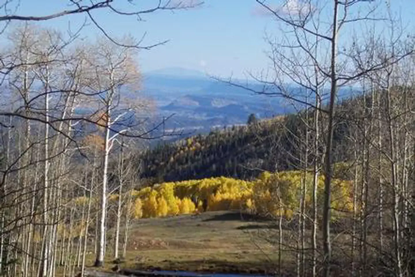 Barker Reservoir Area: Scenic View near Barker Campground
