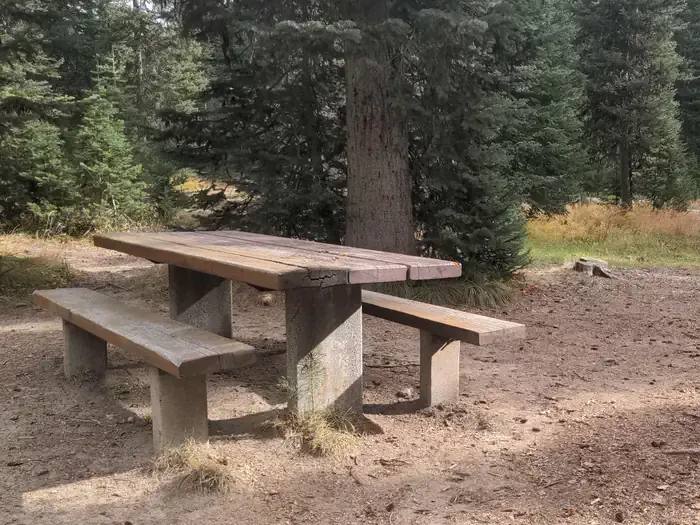 Payette National Forest Jeanette Campground: Jeanette campsite with picnic table