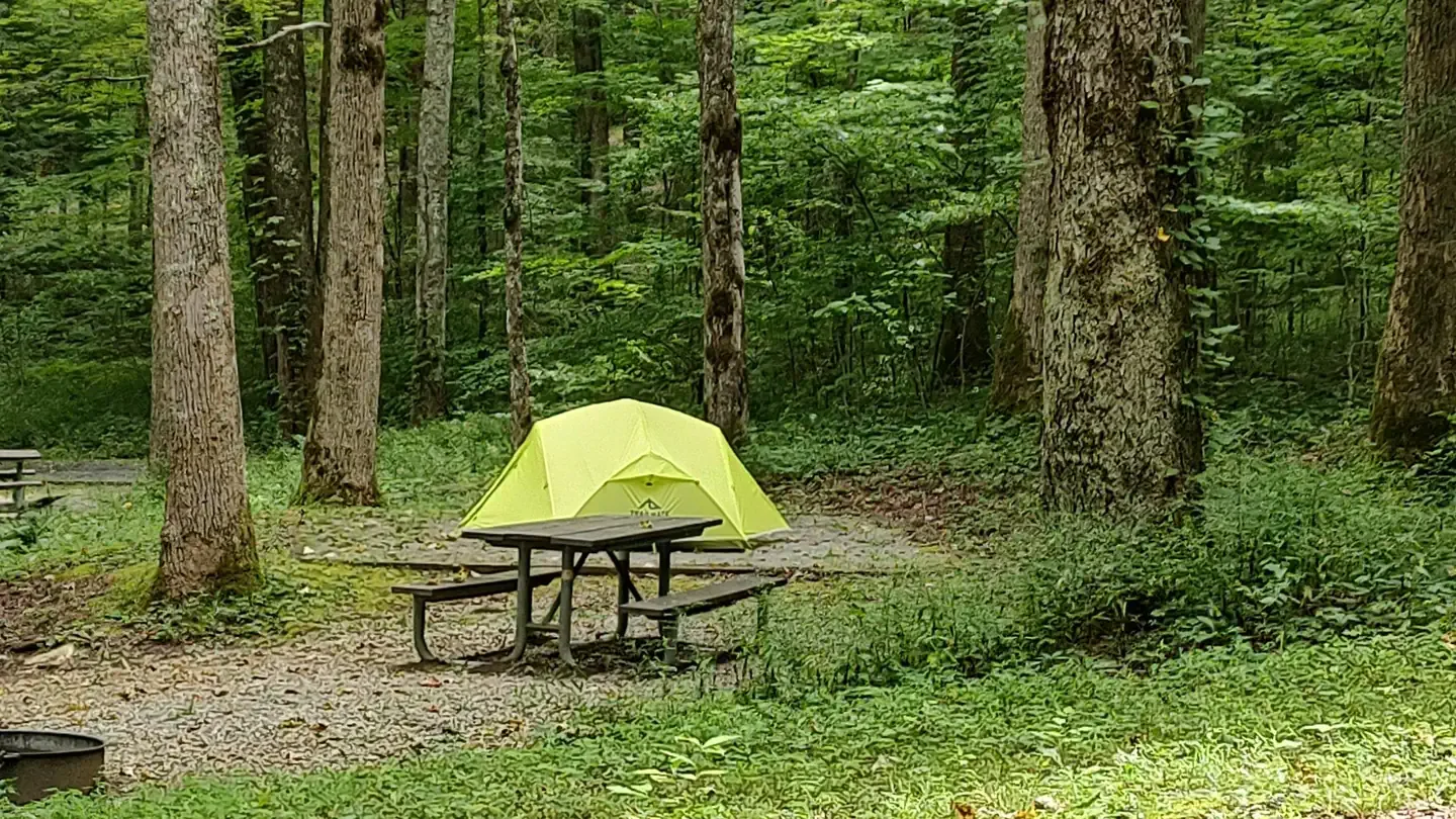 Cosby Campground - Great Smoky Mountains National Park: Peaceful camping in Cosby