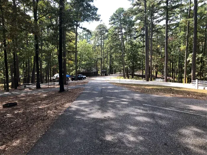 COE Degray Lake Edgewood Campground: Camping