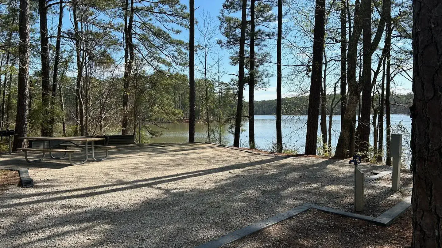COE J Strom Thurmond Lake Modoc Campground: Site 34