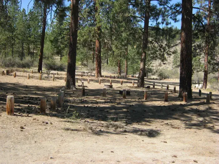 Jones Bay Campground - Lake Roosevelt National Rec Area: Jones Bay Campground sites with trees in the background.