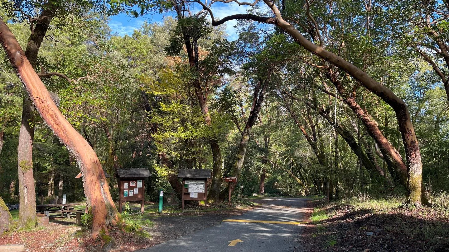 Six Rivers National Forest Boise Creek Campground: Willow Creek off Boise CG trail