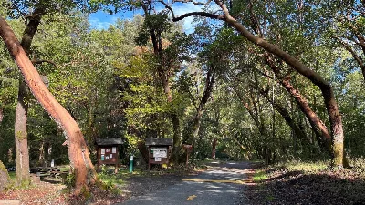 Six Rivers National Forest Boise Creek Campground