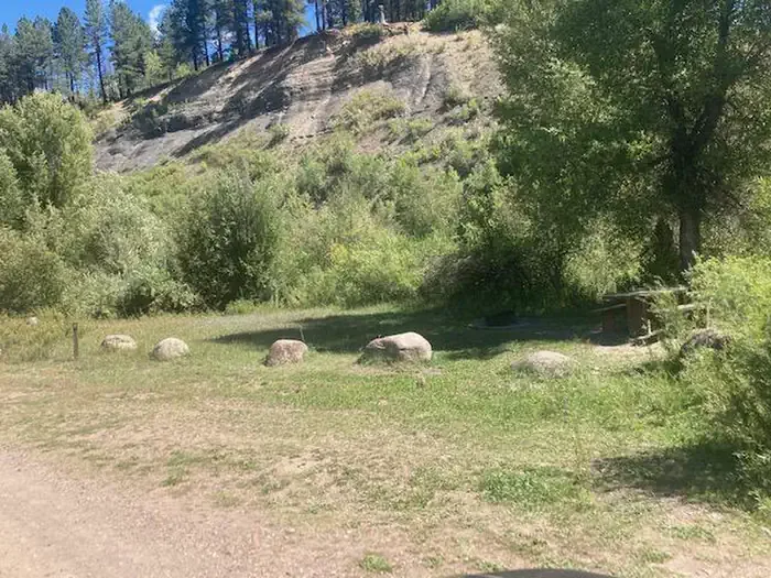 Bridge Campground - San Juan NF: Site 4 Bridge CG