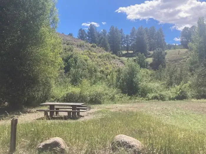 Bridge Campground - San Juan NF: Site 5 Bridge CG