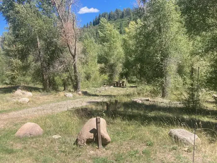 Bridge Campground - San Juan NF: Site 11 - Bridge CG