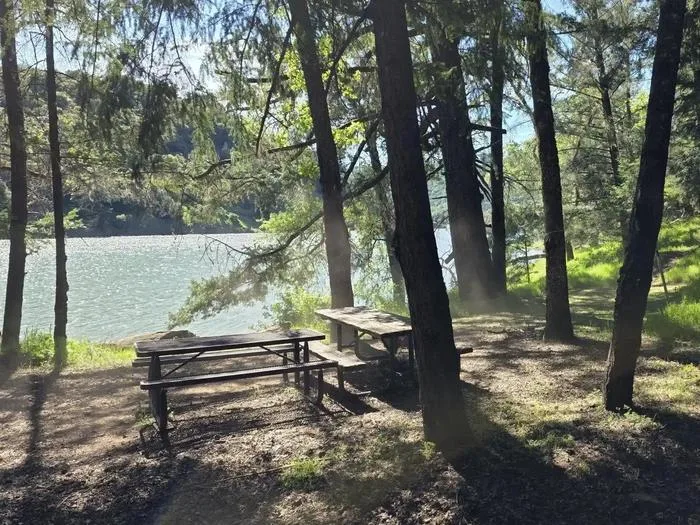 COE Lake Sonoma Boat-In Site Campground: Campsite by lake in trees