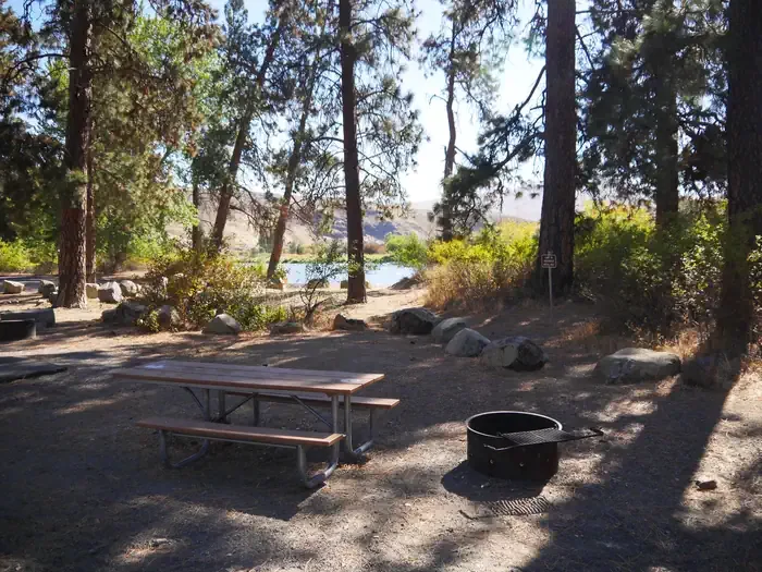 Big Pines Campground - Yakima River Canyon: Big Pines Campsite with fire ring and parking space.