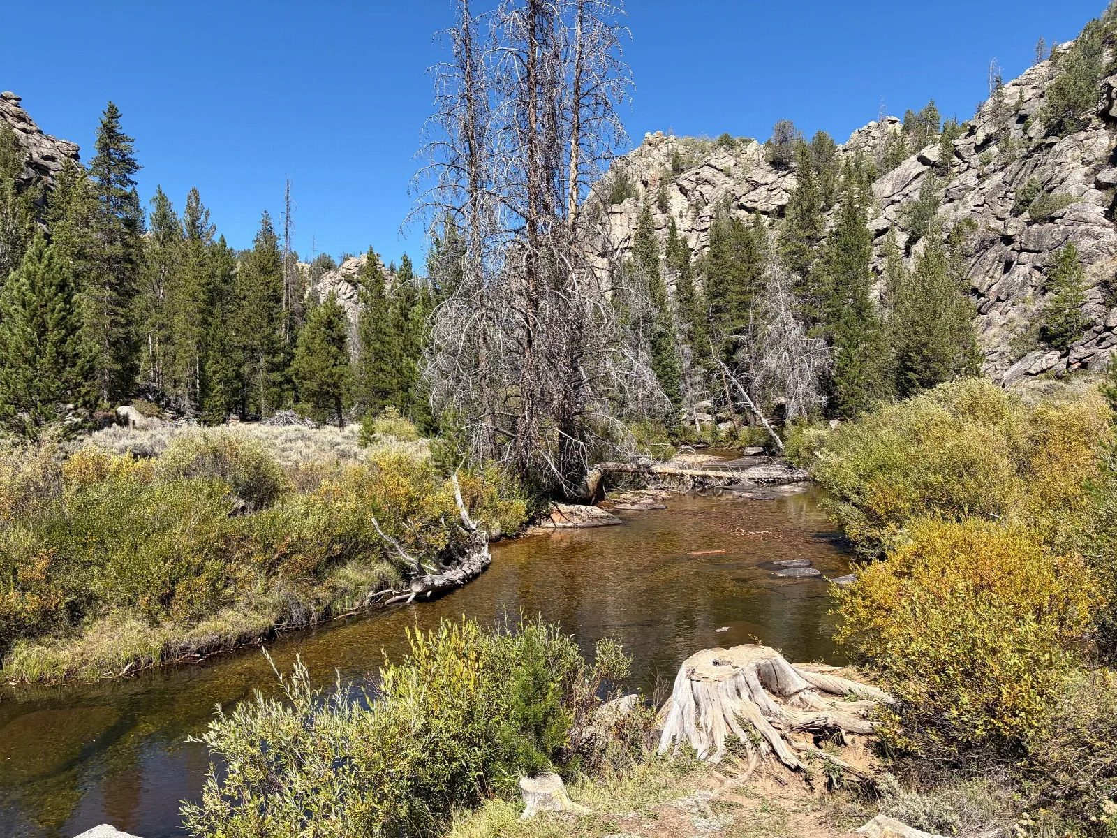 Sweetwater Bridge Campground