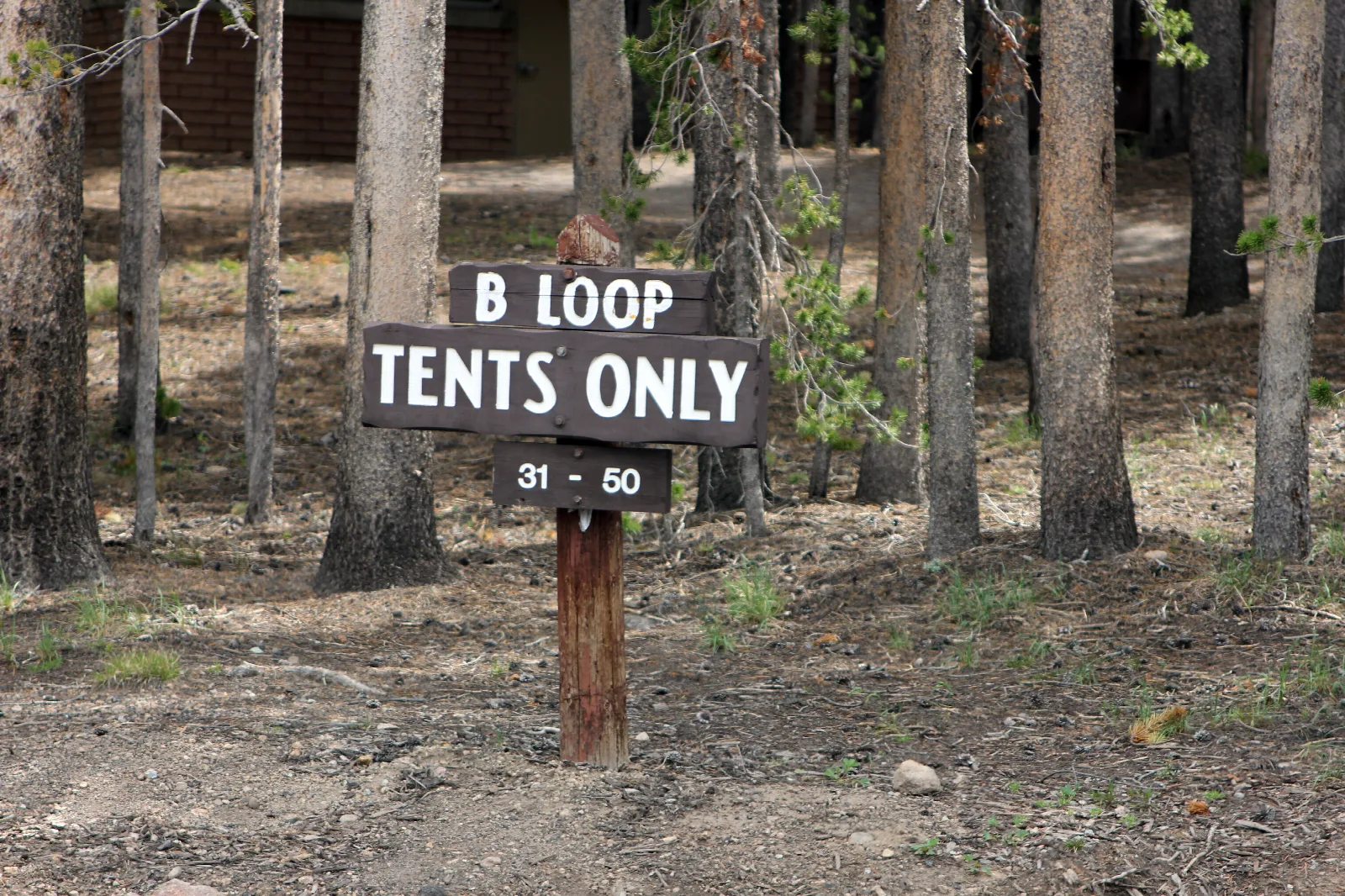 Campsite at campground
