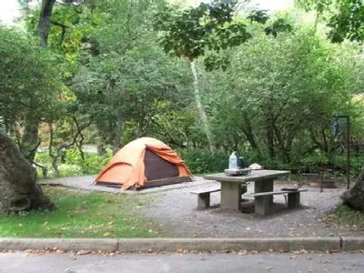 Mt Pisgah Campground