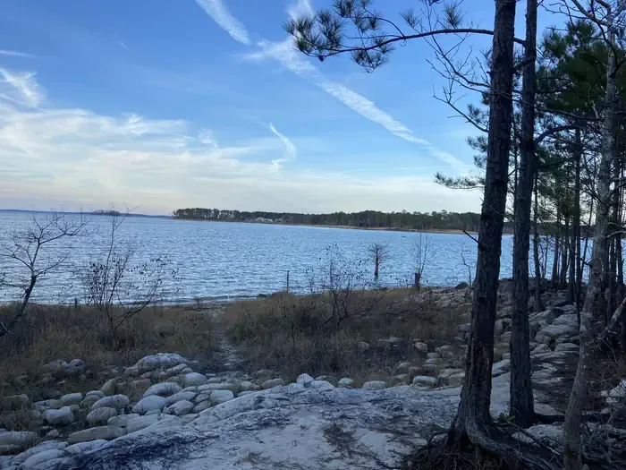COE Sam Rayburn Reservoir Twin Dikes Park: View of Lake From Campground A-Loop