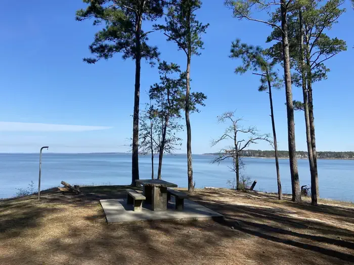 COE Sam Rayburn Reservoir Twin Dikes Park: Lakeside Campsites Offer Stunning Views