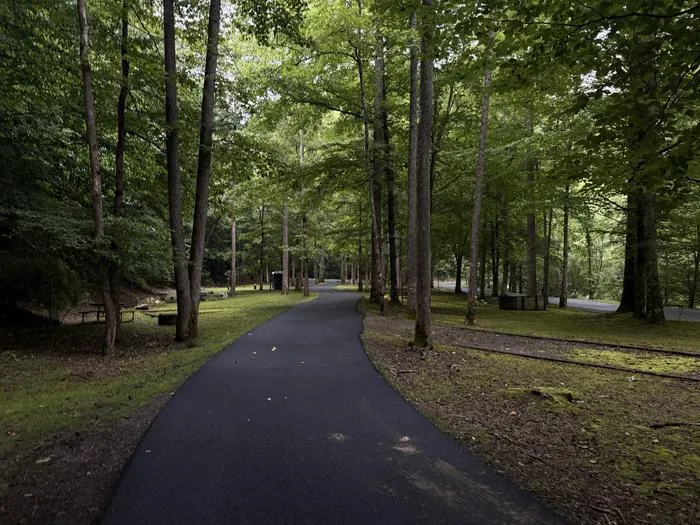 Cranesnest - John W. Flannagan Reservoir: Primative Area 3