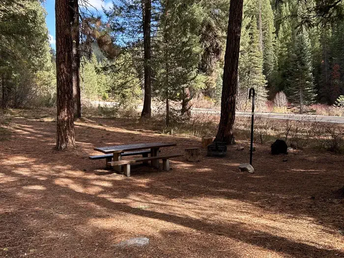 Boise National Forest Bad Bear Campground: Campsite with picnic table, fire ring, and lantern hook