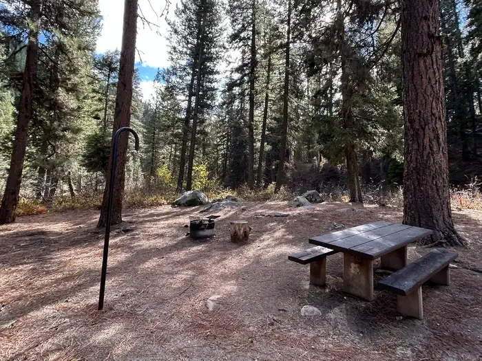 Boise National Forest Bad Bear Campground: Campsite with lantern hook, picnic table, and fire ring