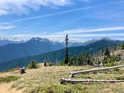 Deer Park Campground - Olympic National Park