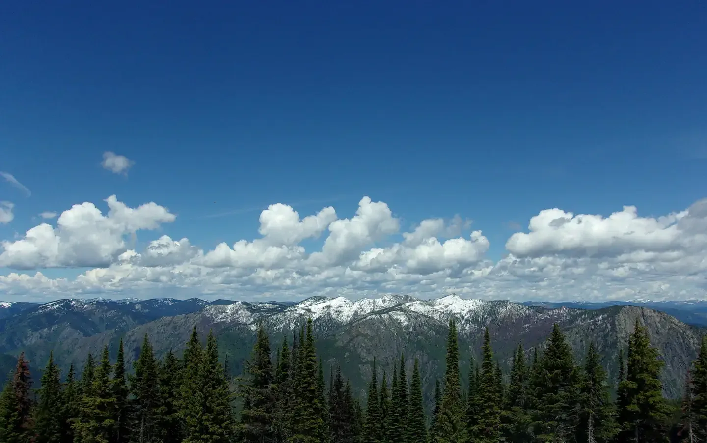 Scurvy Mountain Lookout: Looking from Scurvy Mountain Lookout at a fresh snowfall on the Moose Mountain Range