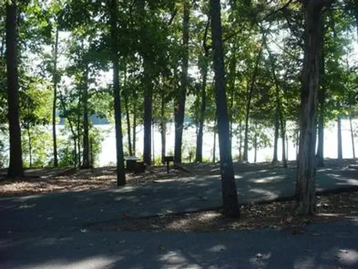Ozark National Forest Cove Lake Campground: Typical Campsite